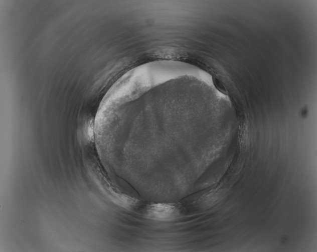 X0000115660095200912031342