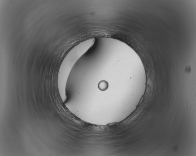 X0000115660096200912031342