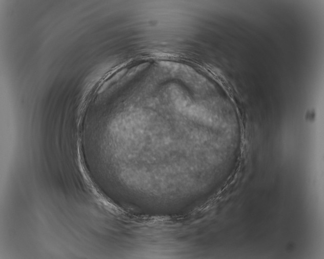 X0000115660097200912031341