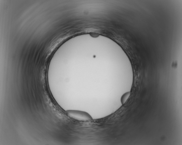 X0000115660098200912031341