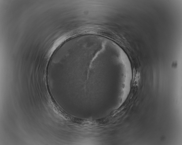 X0000115660099200912031341