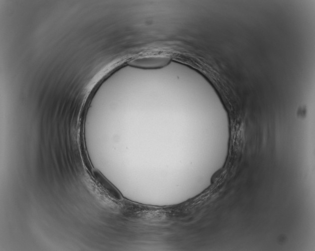 X0000115660100200912031341