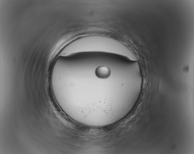 X0000115660101200912031341