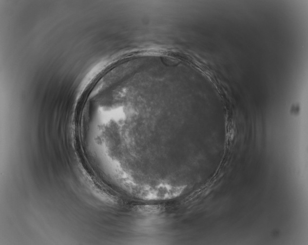 X0000115660102200912031341