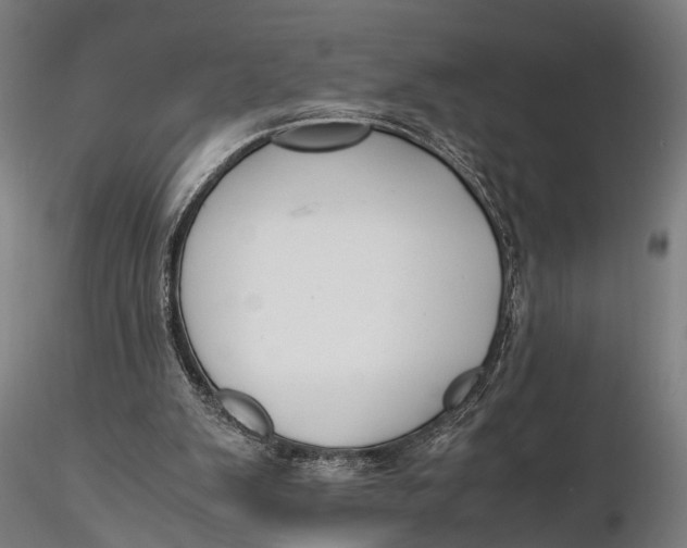 X0000115660103200912031341