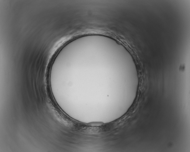 X0000115660104200912031341