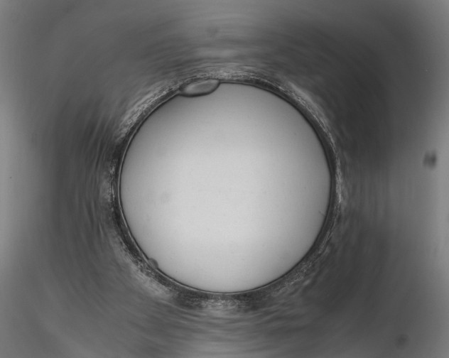 X0000115660105200912031341