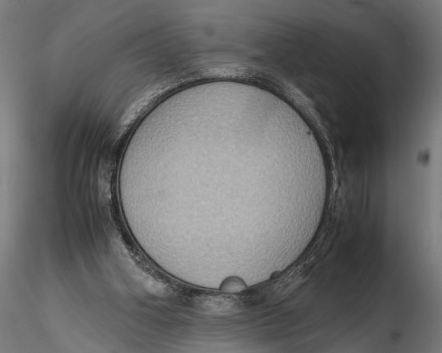 X0000115660106200912031341