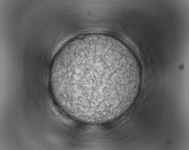 X0000115660107200912031341