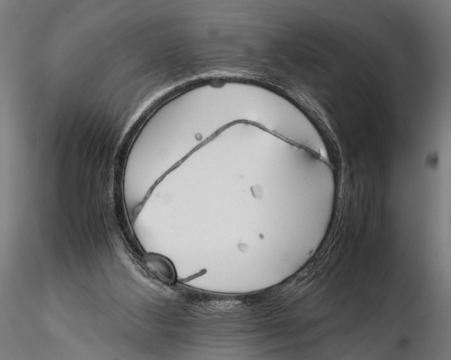 X0000115660108200912031341