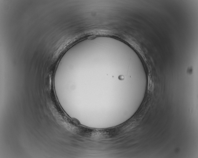 X0000115660109200912031341