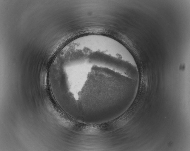 X0000115660110200912031341