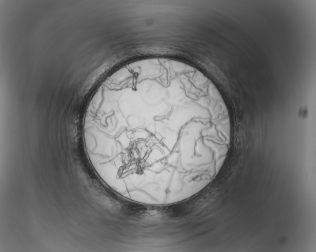 X0000115660111200912031341