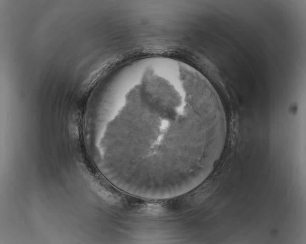 X0000115660114200912031341