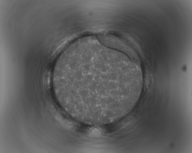 X0000115660115200912031341