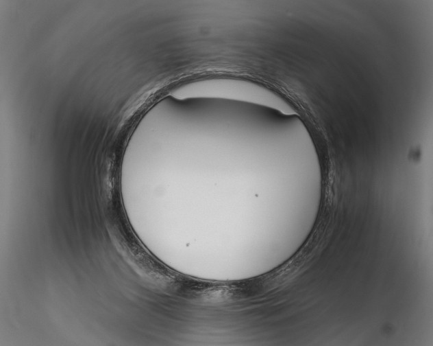 X0000115660116200912031341