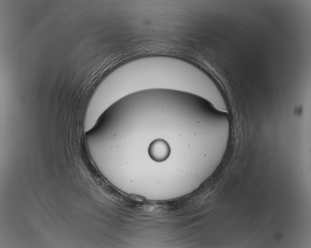 X0000115660117200912031341