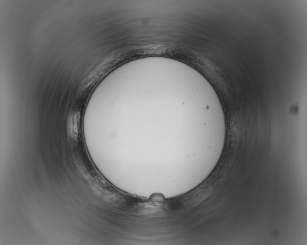 X0000115660118200912031341