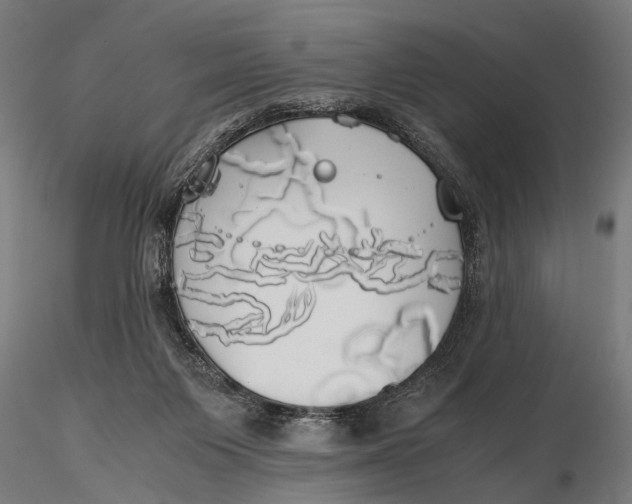 X0000115660119200912031341