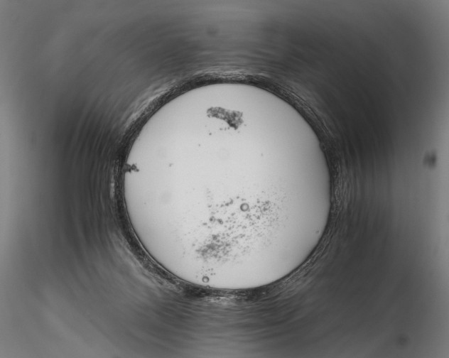 X0000115660120200912031341