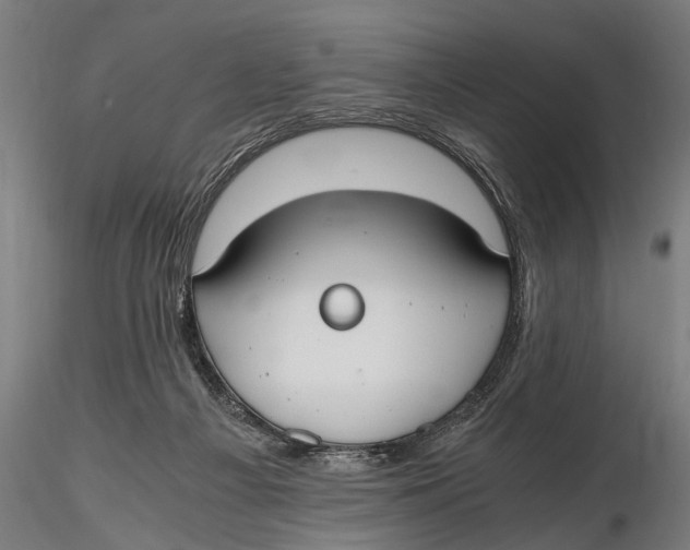 X0000115660121200912031341