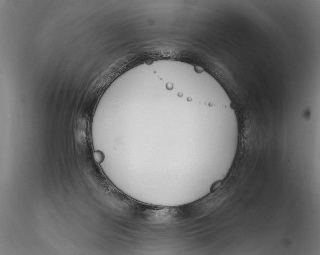 X0000115660122200912031341