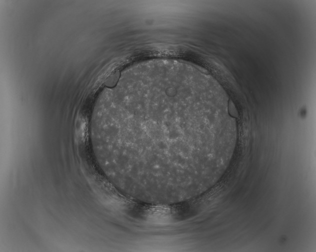 X0000115660123200912031341