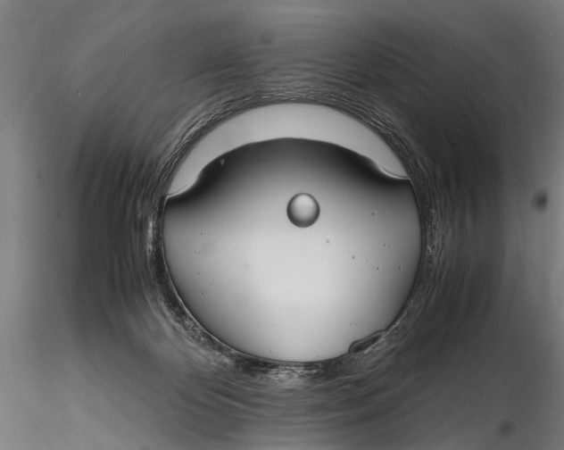 X0000115660124200912031341