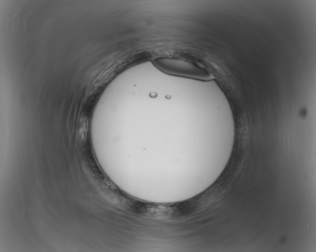 X0000115660125200912031341