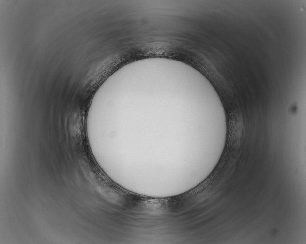 X0000115660126200912031341