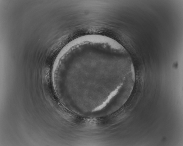 X0000115660127200912031341