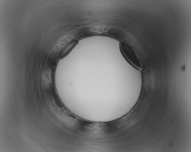 X0000115660128200912031341