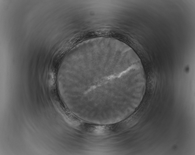 X0000115660130200912031341