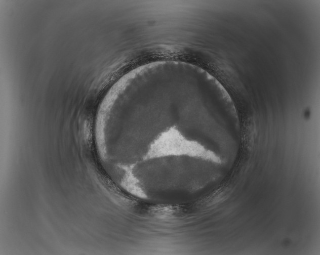 X0000115660131200912031341