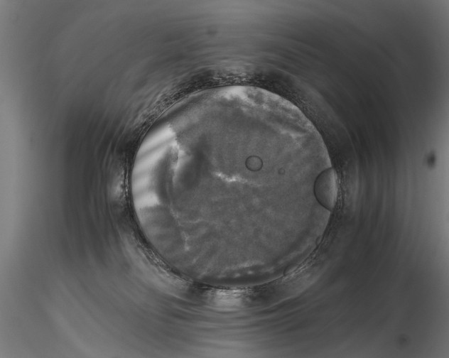 X0000115660134200912031341