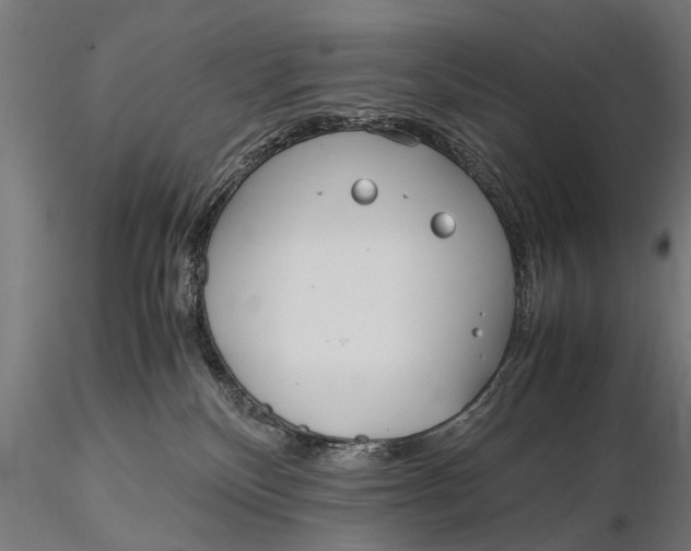 X0000115660136200912031341