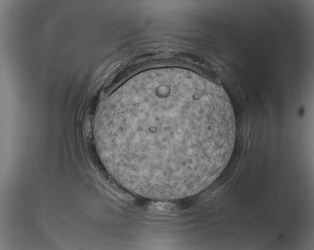 X0000115660137200912031341