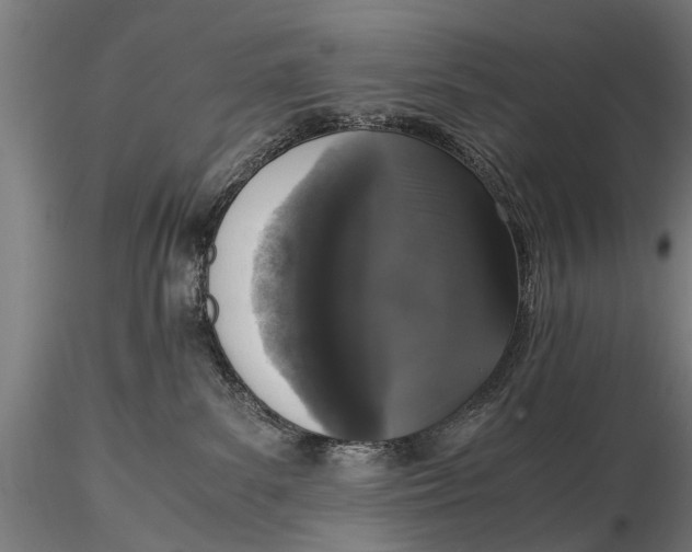 X0000115660139200912031341