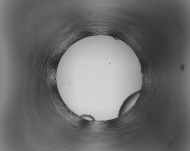 X0000115660141200912031341