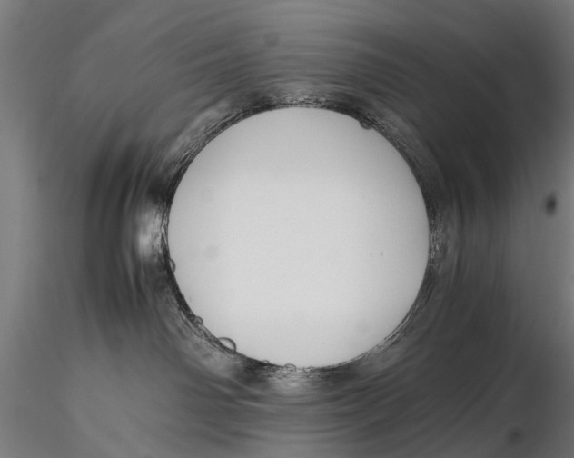 X0000115660142200912031341