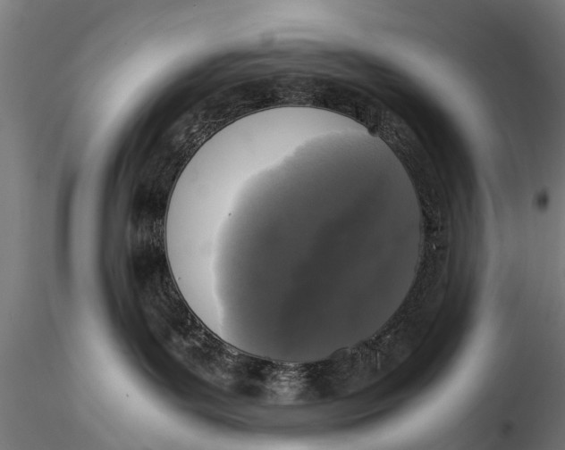 X0000115660143200912031341