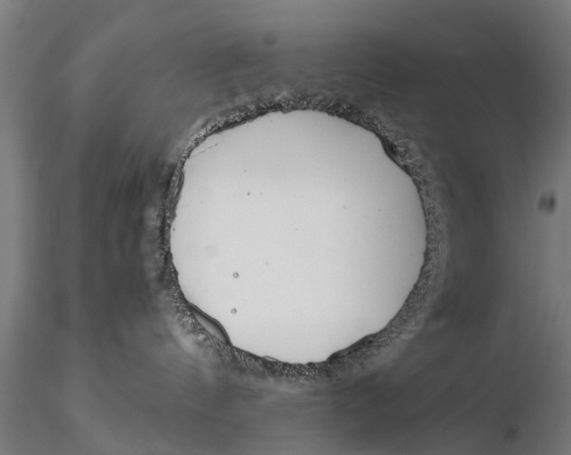 X0000115660144200912031341