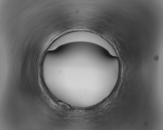 X0000115660145200912031340