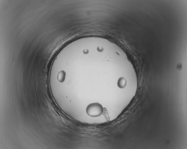 X0000115660146200912031340