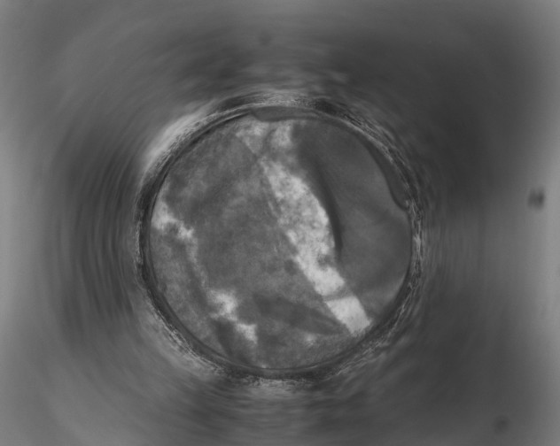 X0000115660149200912031340