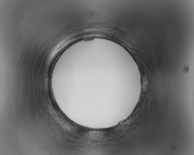 X0000115660150200912031340