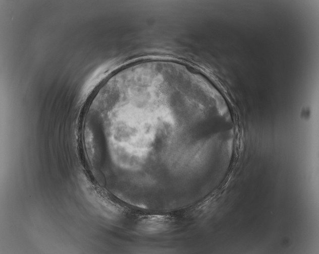 X0000115660151200912031340