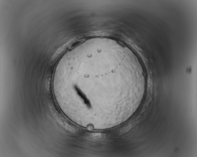 X0000115660153200912031340