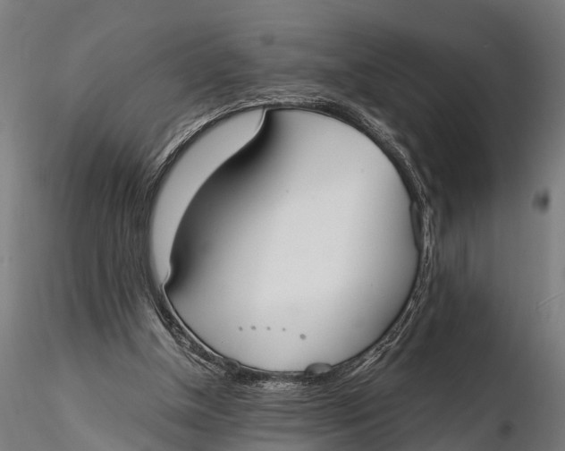 X0000115660154200912031340