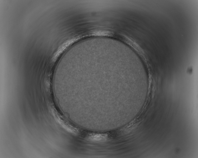 X0000115660155200912031340